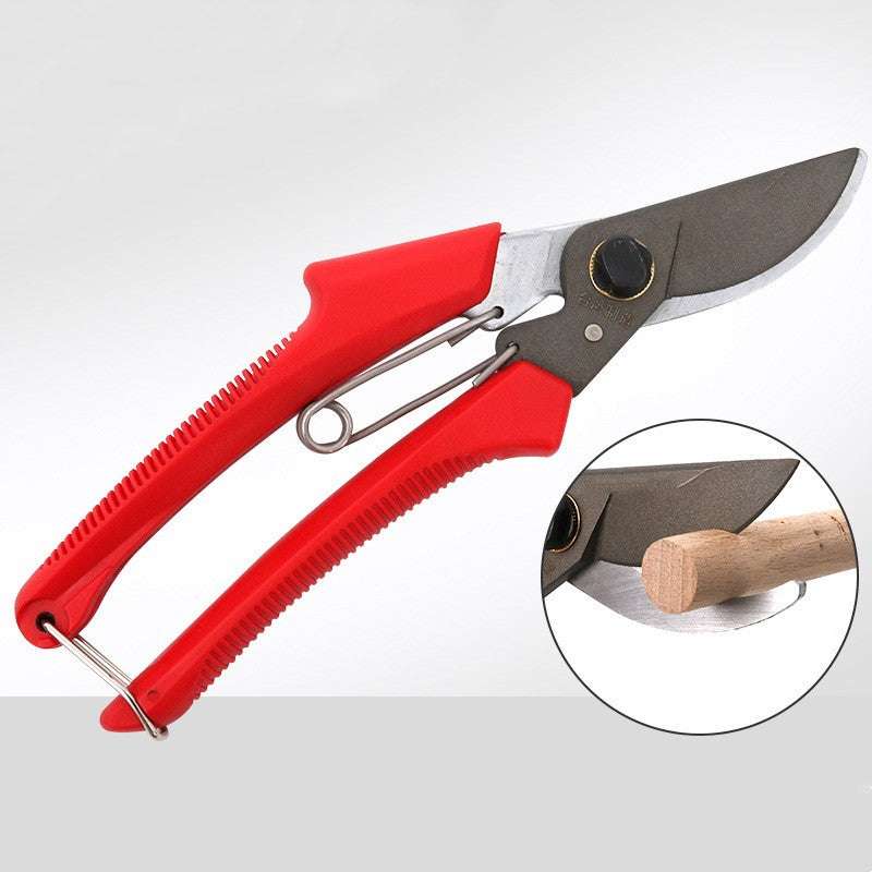 Enhance Your Gardening Experience with the Garden Tools Fruit Tree Gardening Scissors